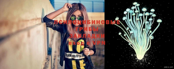 прущие крисы Белоозёрский