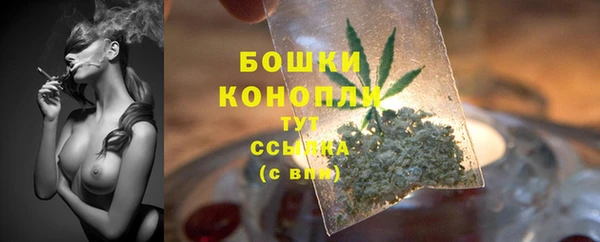 прущие крисы Белоозёрский