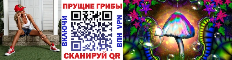 наркотики  Светлогорск  Галлюциногенные грибы мицелий 